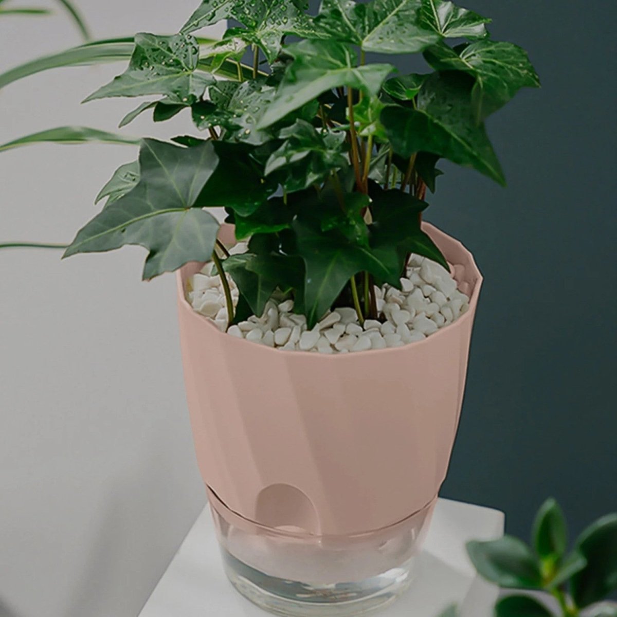 Self-Watering Plastic Flowerpot for Indoor Gardening