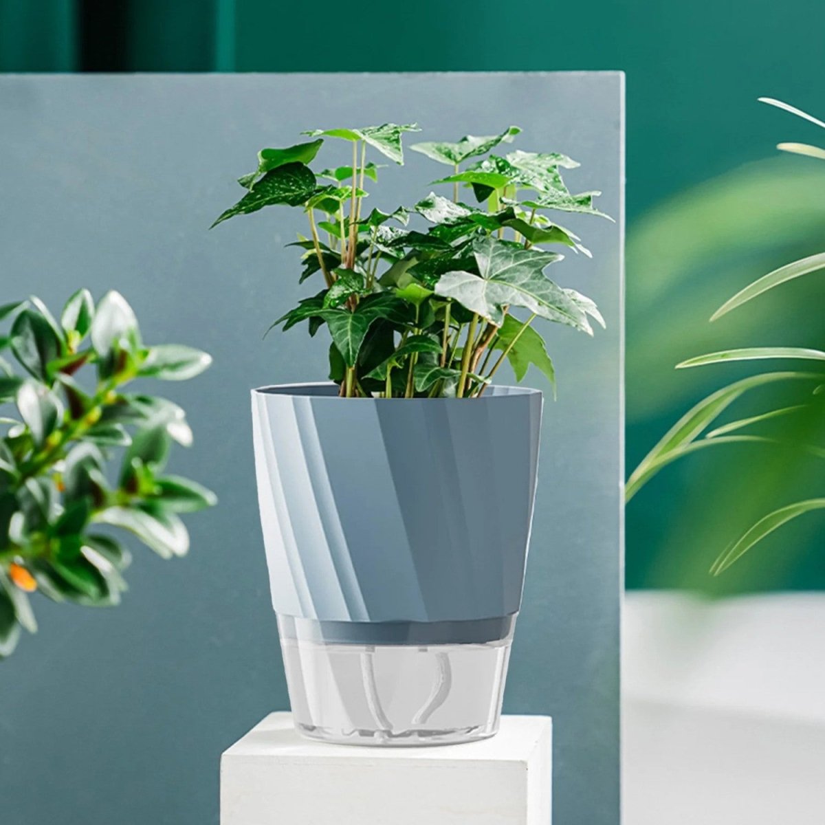 Self-Watering Plastic Flowerpot for Indoor Gardening