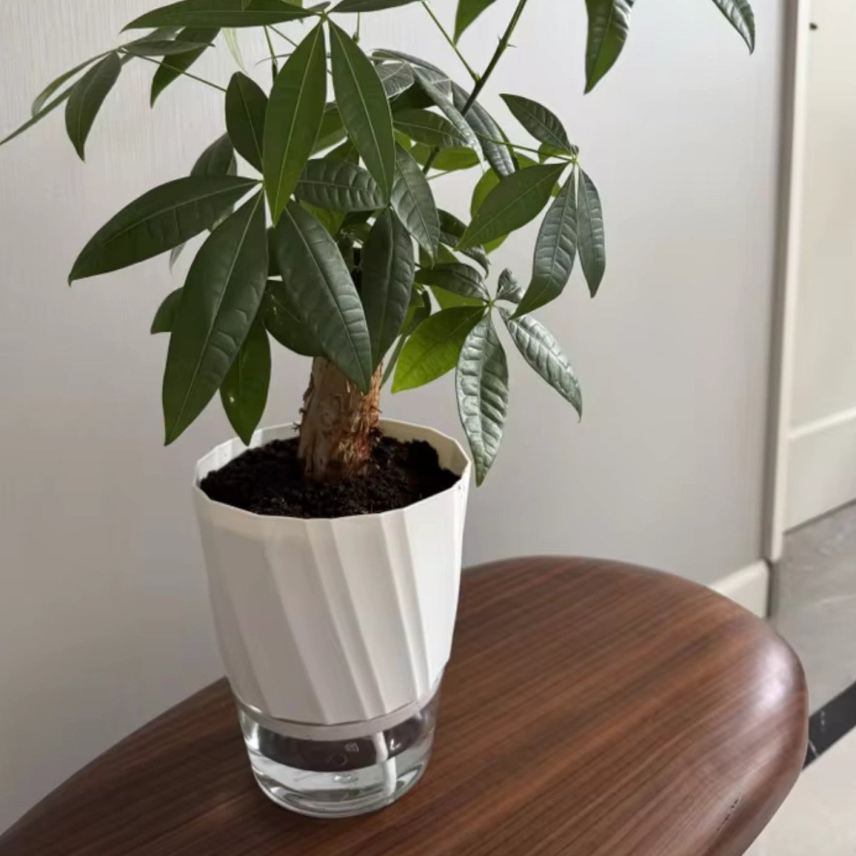 Self-Watering Plastic Flowerpot for Indoor Gardening