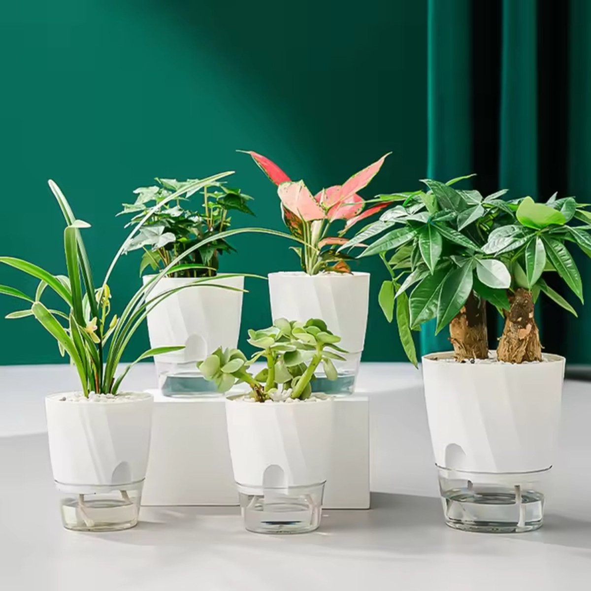 Self-Watering Plastic Flowerpot for Indoor Gardening