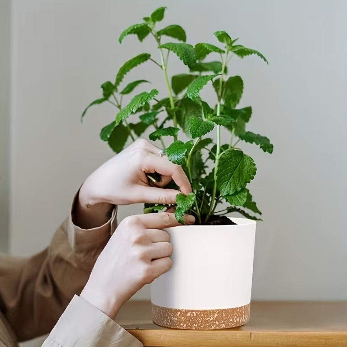 Modern Minimalist Flower Pots Set with Drainage - 4 Pack