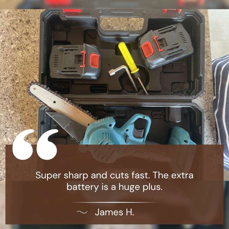 Cordless 6-Inch Electric Chainsaw with Ergonomic Design