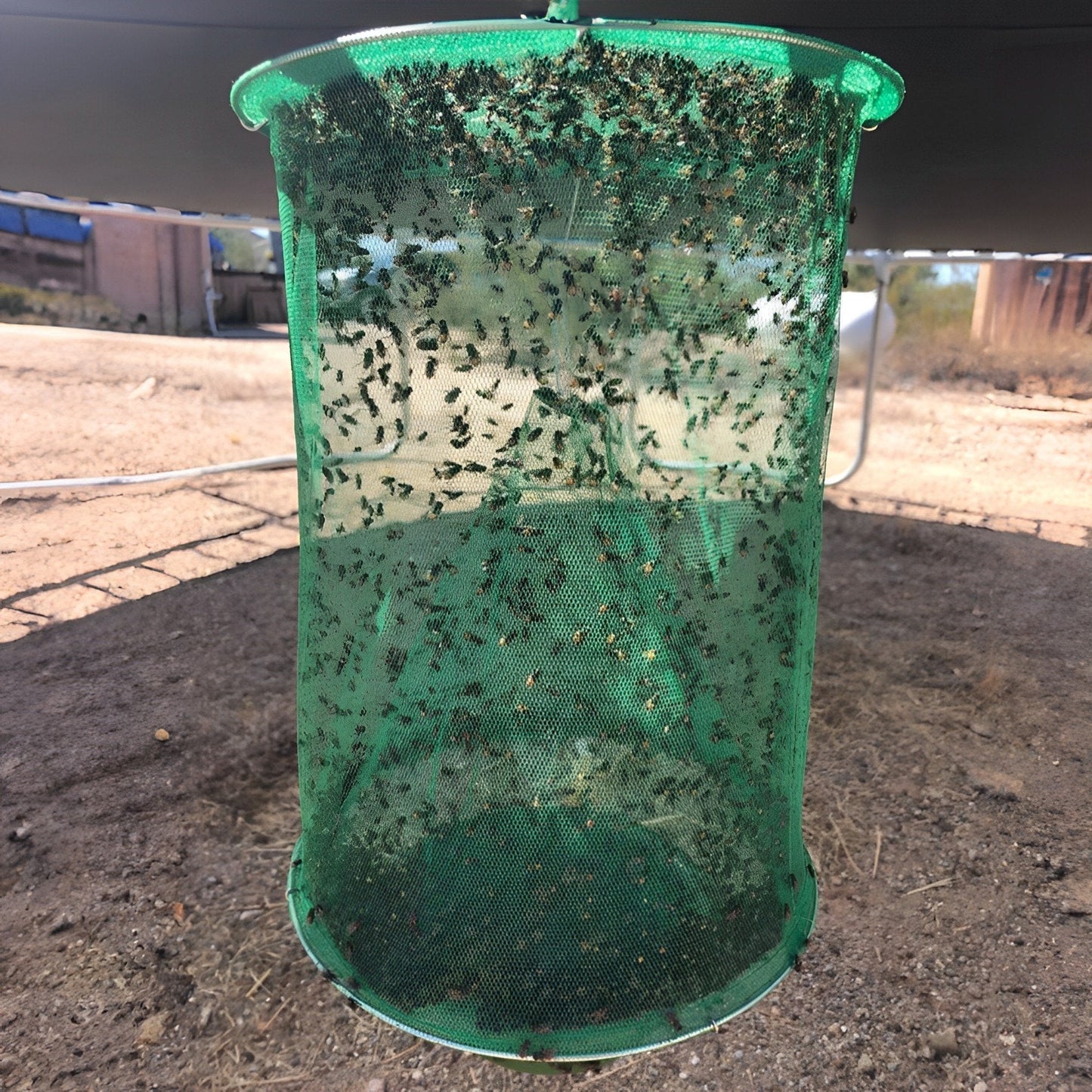 Non-Toxic Fly Trap with Organic Lures - Reusable and Odorless