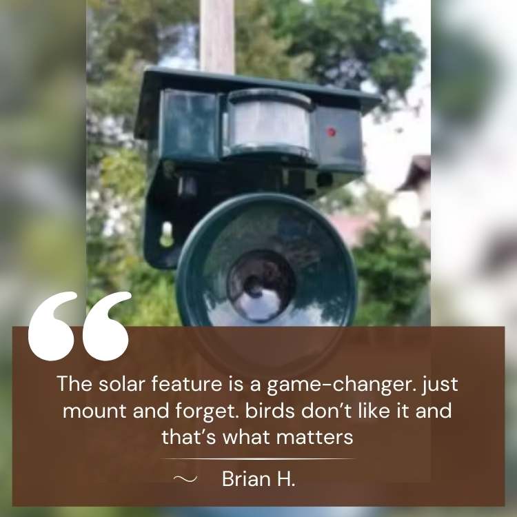 Solar-Powered Ultrasonic Bird Repeller with Motion Sensor
