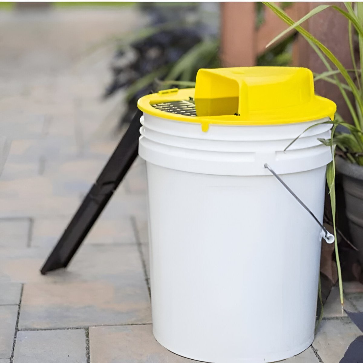 Hands-Free Smart Mouse Trap for Safe Rodent Control