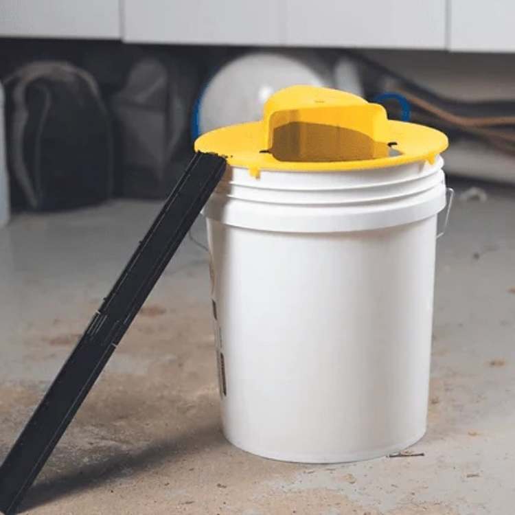 Hands-Free Smart Mouse Trap for Safe Rodent Control