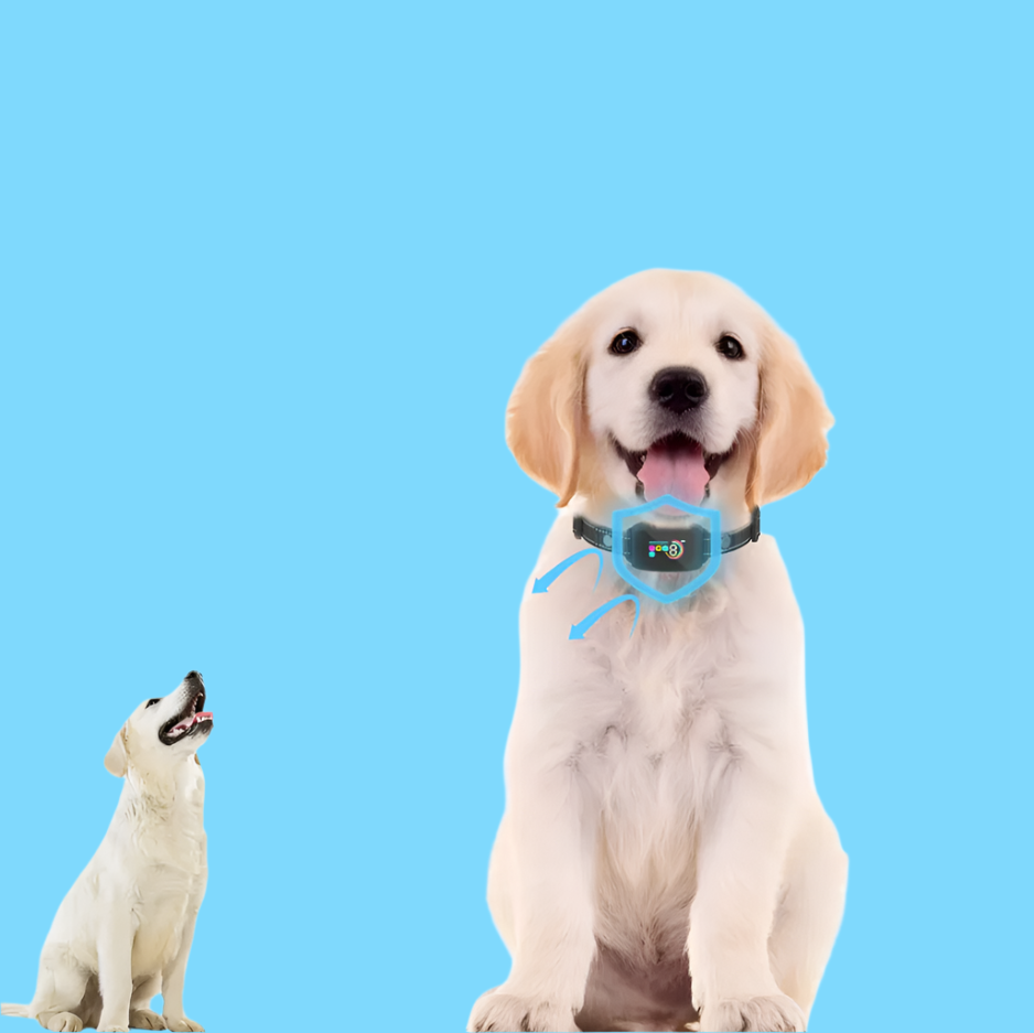 Adjustable Dog Training Collar with Vibration and Shock Modes