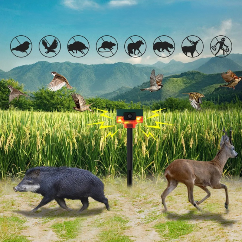 Solar-Powered Bird Scare Device with Flashing Lights
