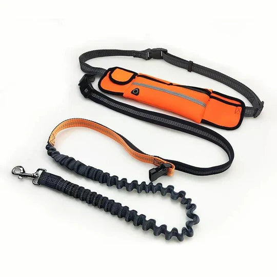 Hands-Free Dog Running Leash with Adjustable Hip Belt