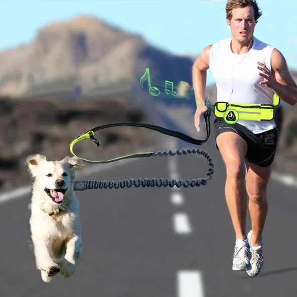 Hands-Free Dog Running Leash with Adjustable Hip Belt