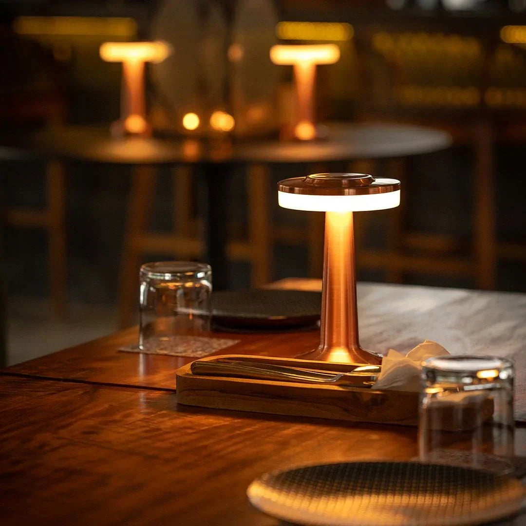 Cordless Rechargeable LED Table Lamp with Adjustable Brightness