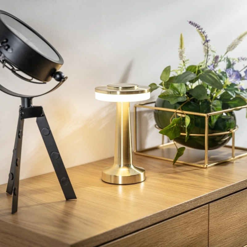 Cordless Rechargeable LED Table Lamp with Adjustable Brightness