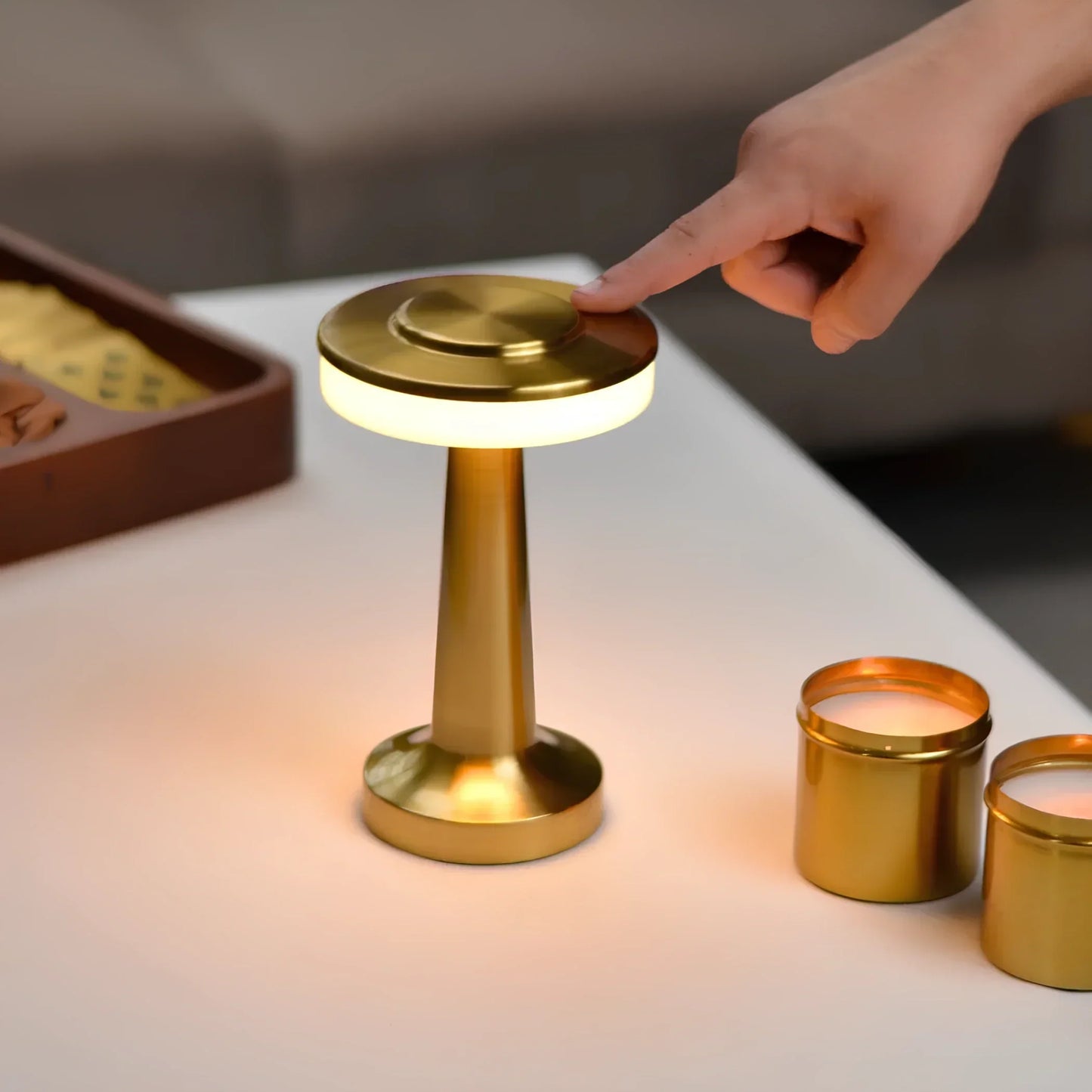 Cordless Rechargeable LED Table Lamp with Adjustable Brightness