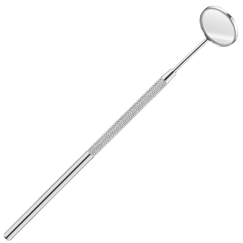 Stainless Steel Dental Tartar Remover Tool