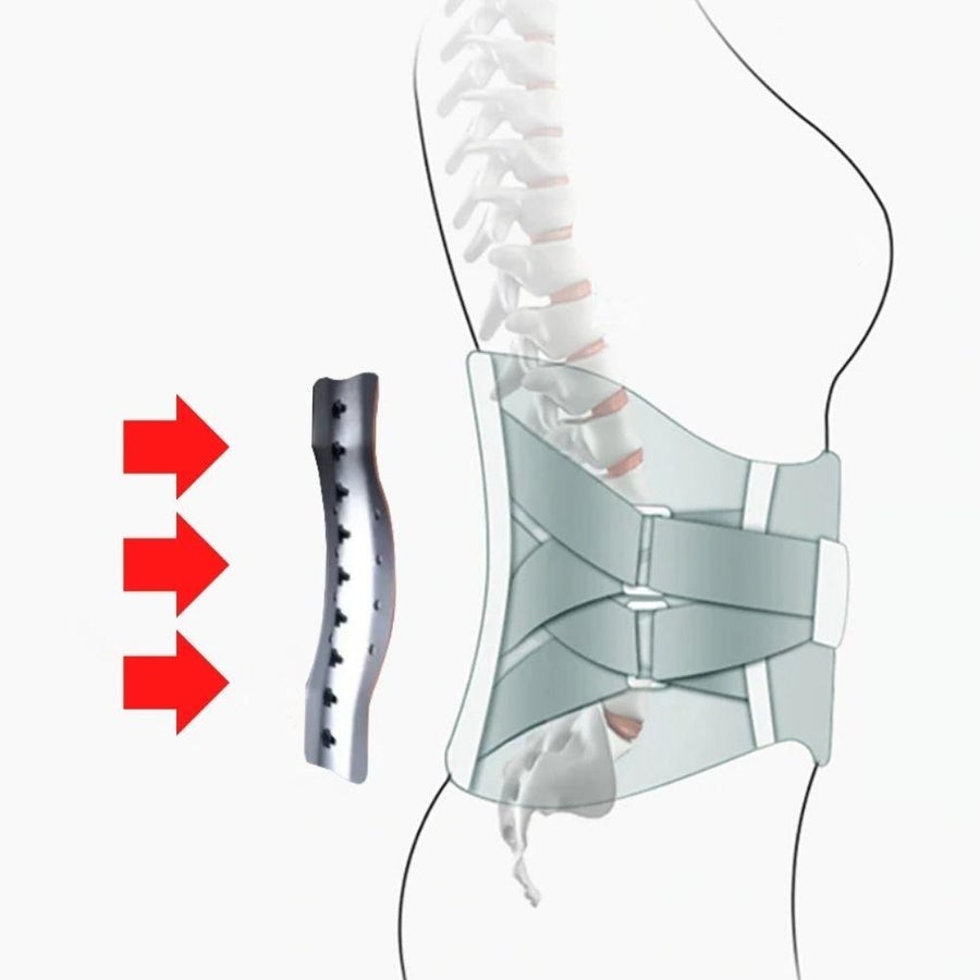 Warm Compress Lumbar Support Belt with Adjustable Straps