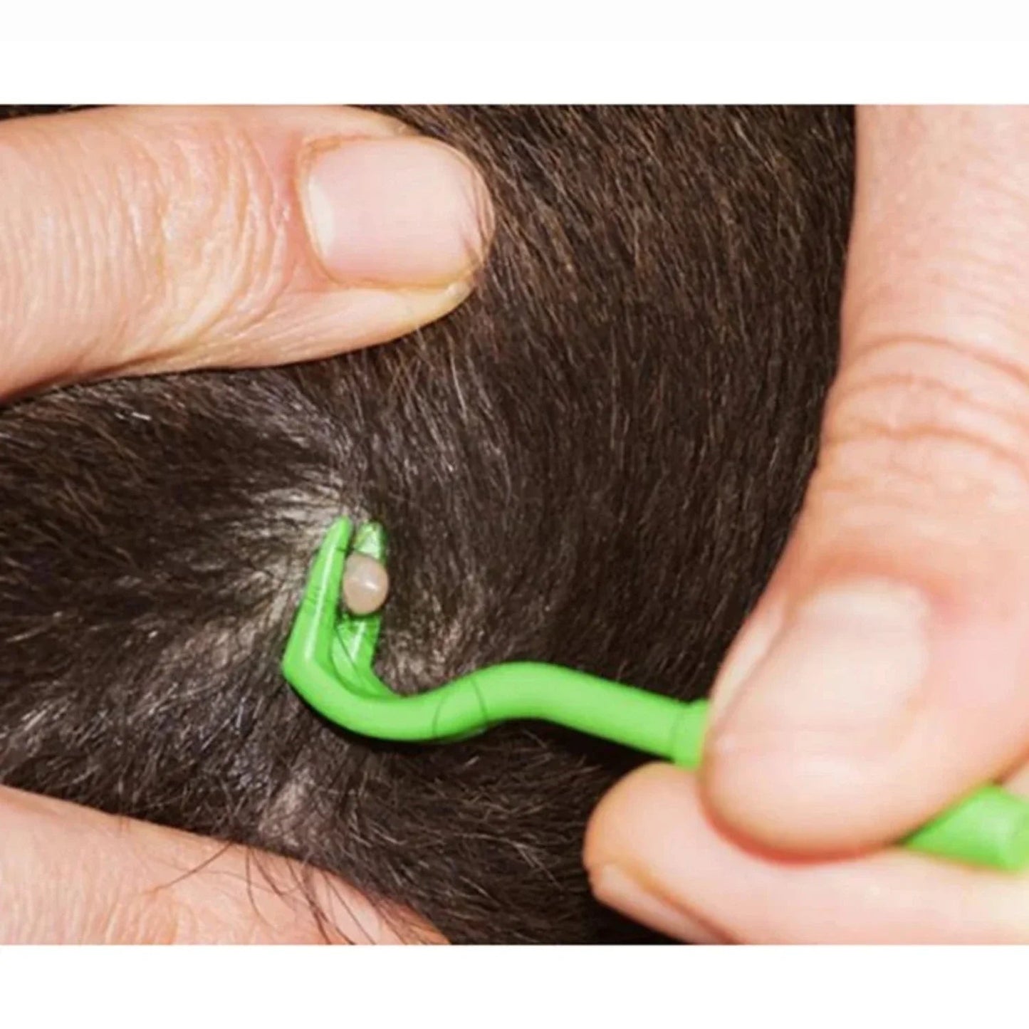 Tick Removal Tool for Dogs and Pets - Safe, Chemical-Free, 3 Sizes