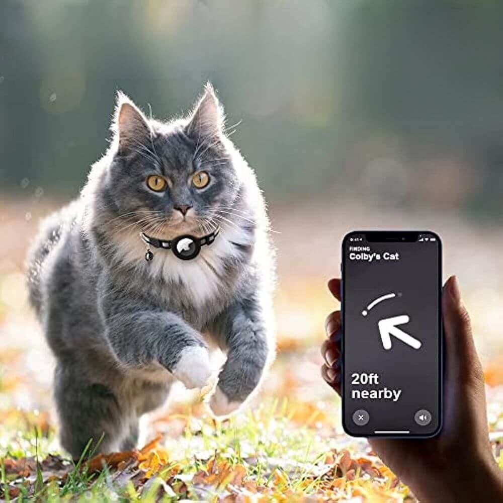 Reflective Cat Collar with Safety Lock and Adjustable Fit