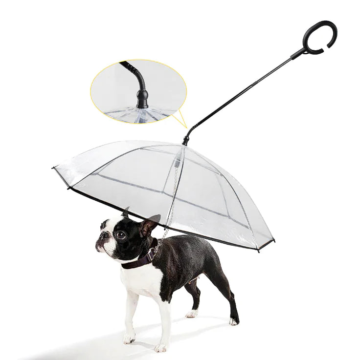 Transparent Waterproof Dog Umbrella for Small to Medium Dogs