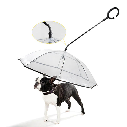 Transparent Waterproof Dog Umbrella for Small to Medium Dogs