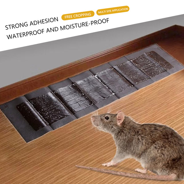 Extra-Large Glue Traps for Mice and Rats - 5 Pack