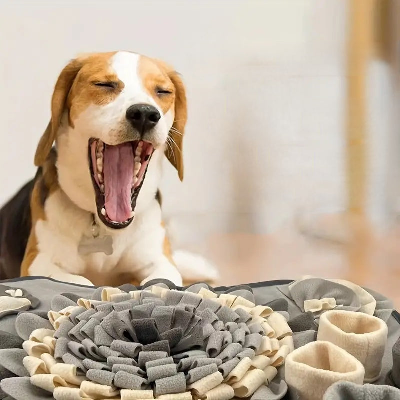 Dog Snuffle Mat for Slow Feeding and Mental Stimulation