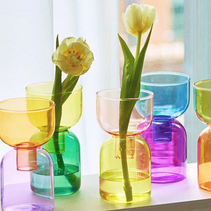 Mini Glass Bud Vase Terrarium Set - Contemporary Hydroponic Planters
