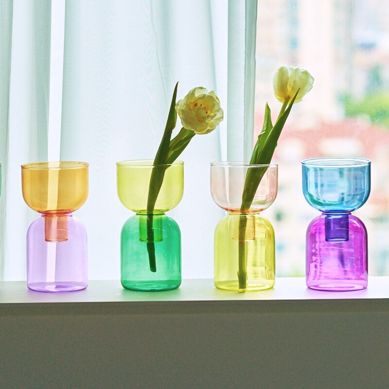 Mini Glass Bud Vase Terrarium Set - Contemporary Hydroponic Planters