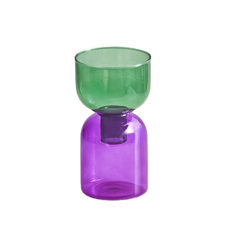 Mini Glass Bud Vase Terrarium Set - Contemporary Hydroponic Planters