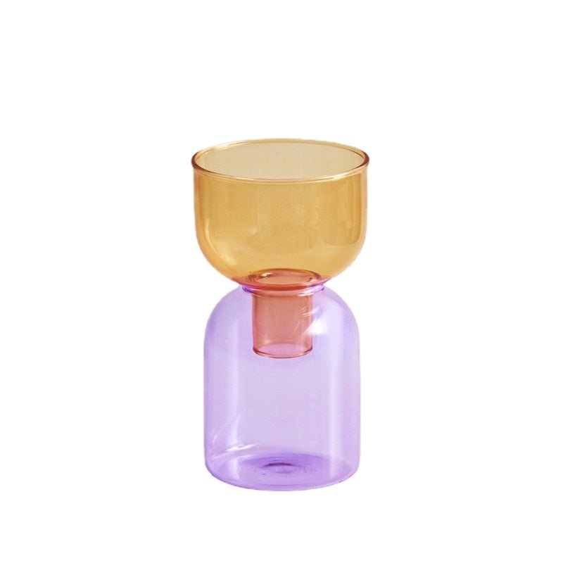 Mini Glass Bud Vase Terrarium Set - Contemporary Hydroponic Planters