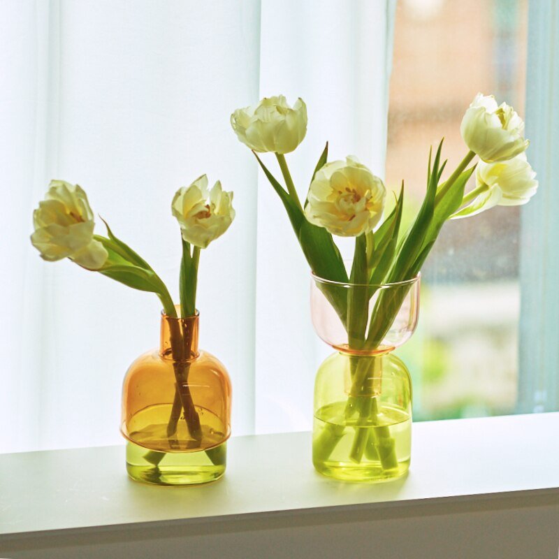Mini Glass Bud Vase Terrarium Set - Contemporary Hydroponic Planters