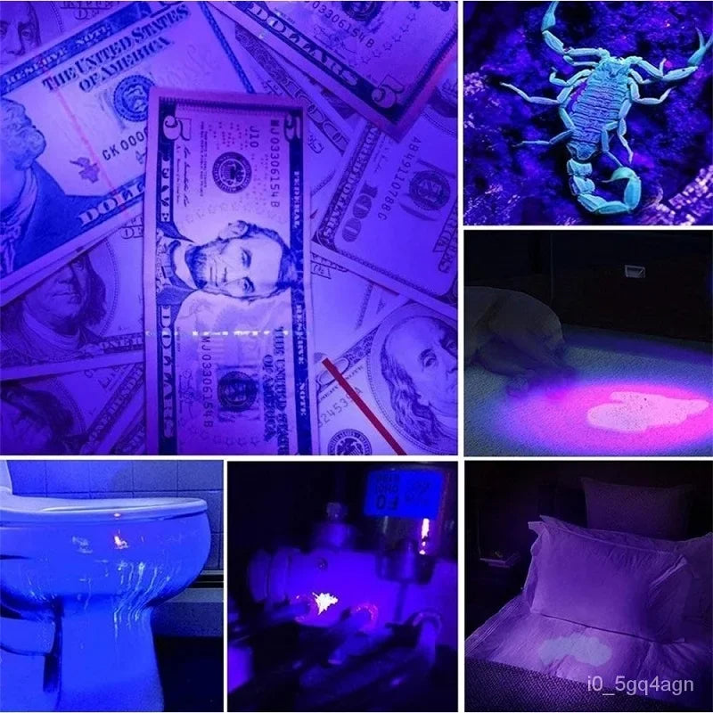 UV Flashlight for Detecting Bed Bugs and Stains