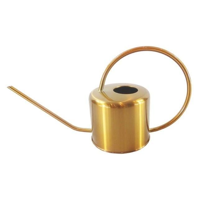 Gold Stainless Steel Watering Can for Houseplants