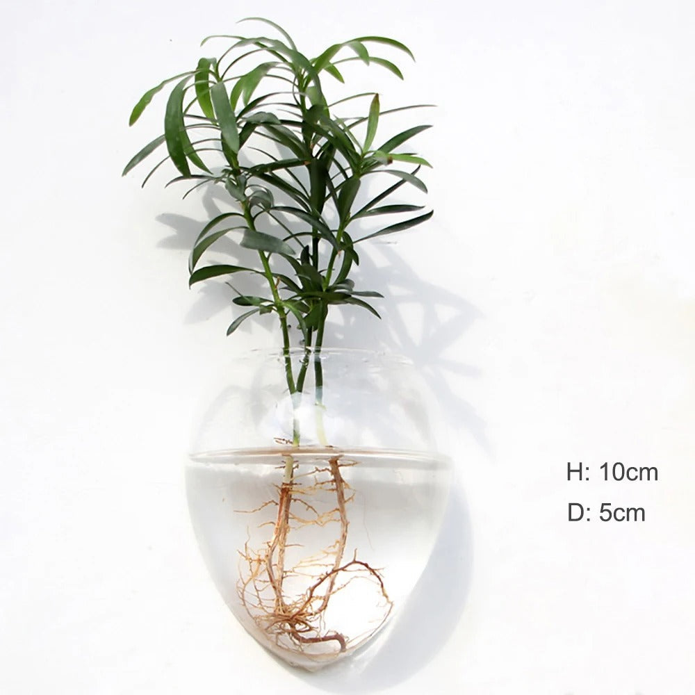 Borosilicate Glass Wall Vase for Modern Decor