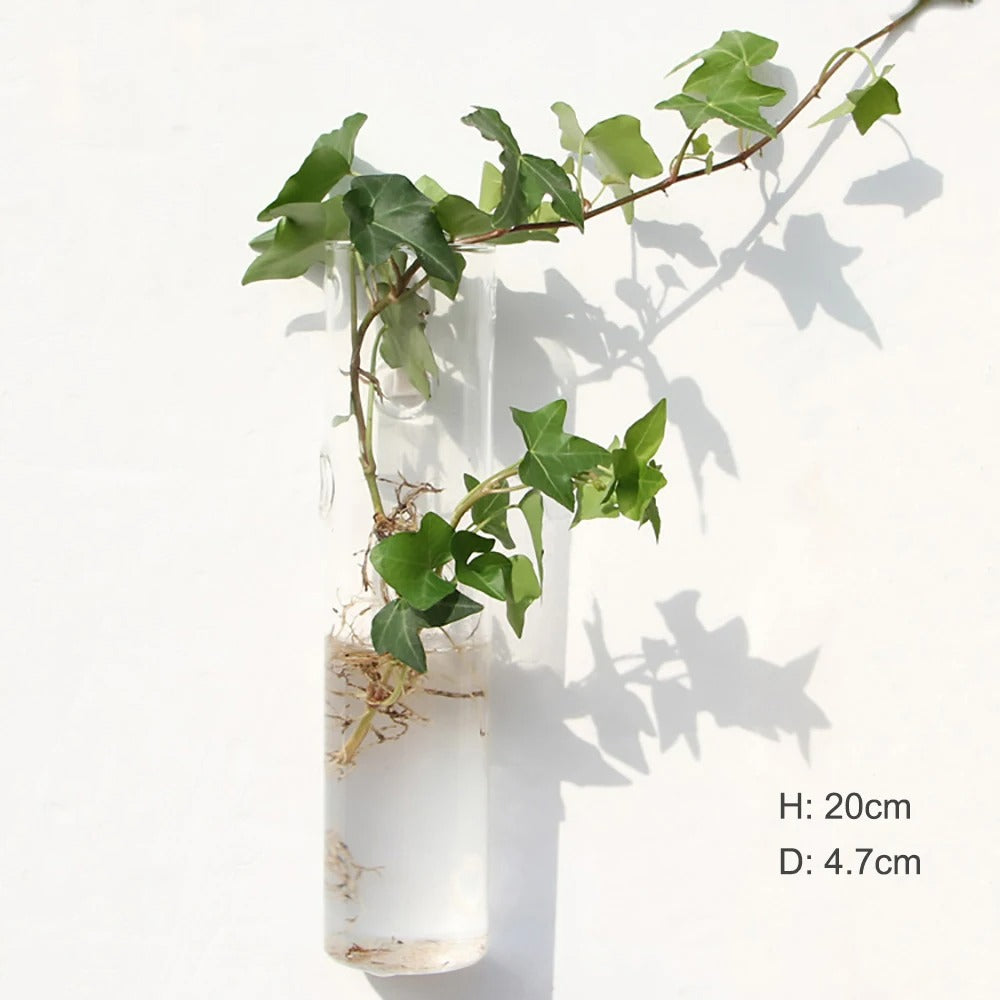 Borosilicate Glass Wall Vase for Modern Decor