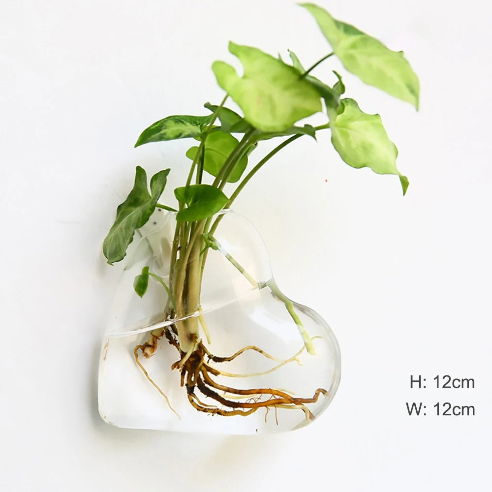 Borosilicate Glass Wall Vase for Modern Decor