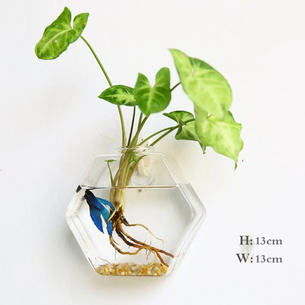 Borosilicate Glass Wall Vase for Modern Decor
