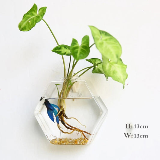 Borosilicate Glass Wall Vase for Modern Decor
