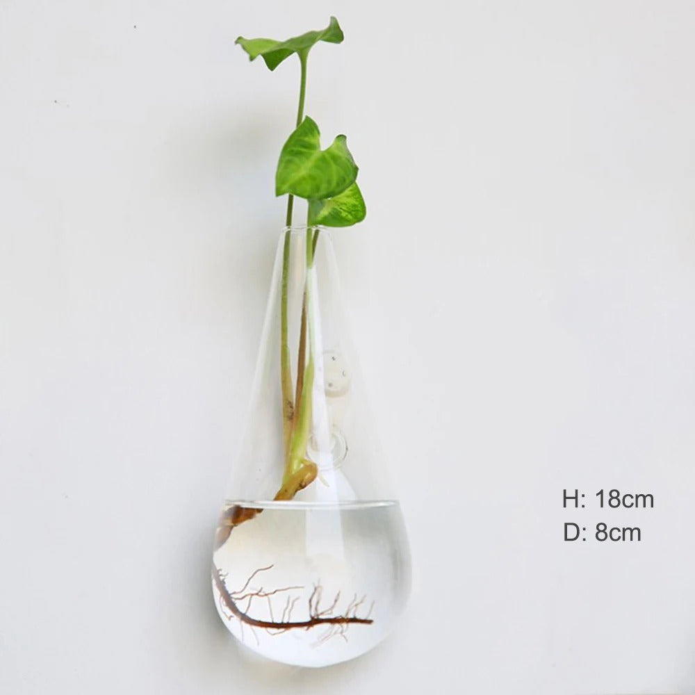 Borosilicate Glass Wall Vase for Modern Decor