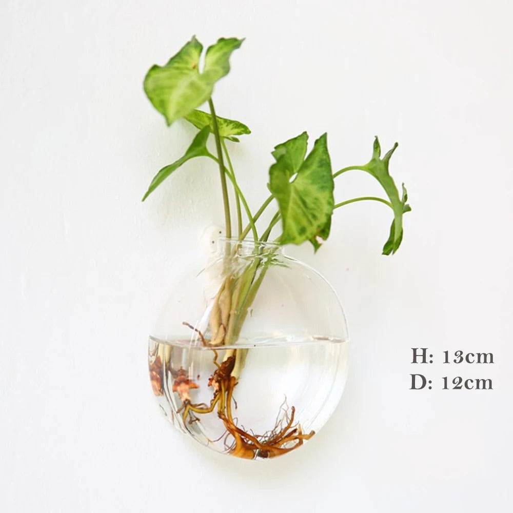 Borosilicate Glass Wall Vase for Modern Decor