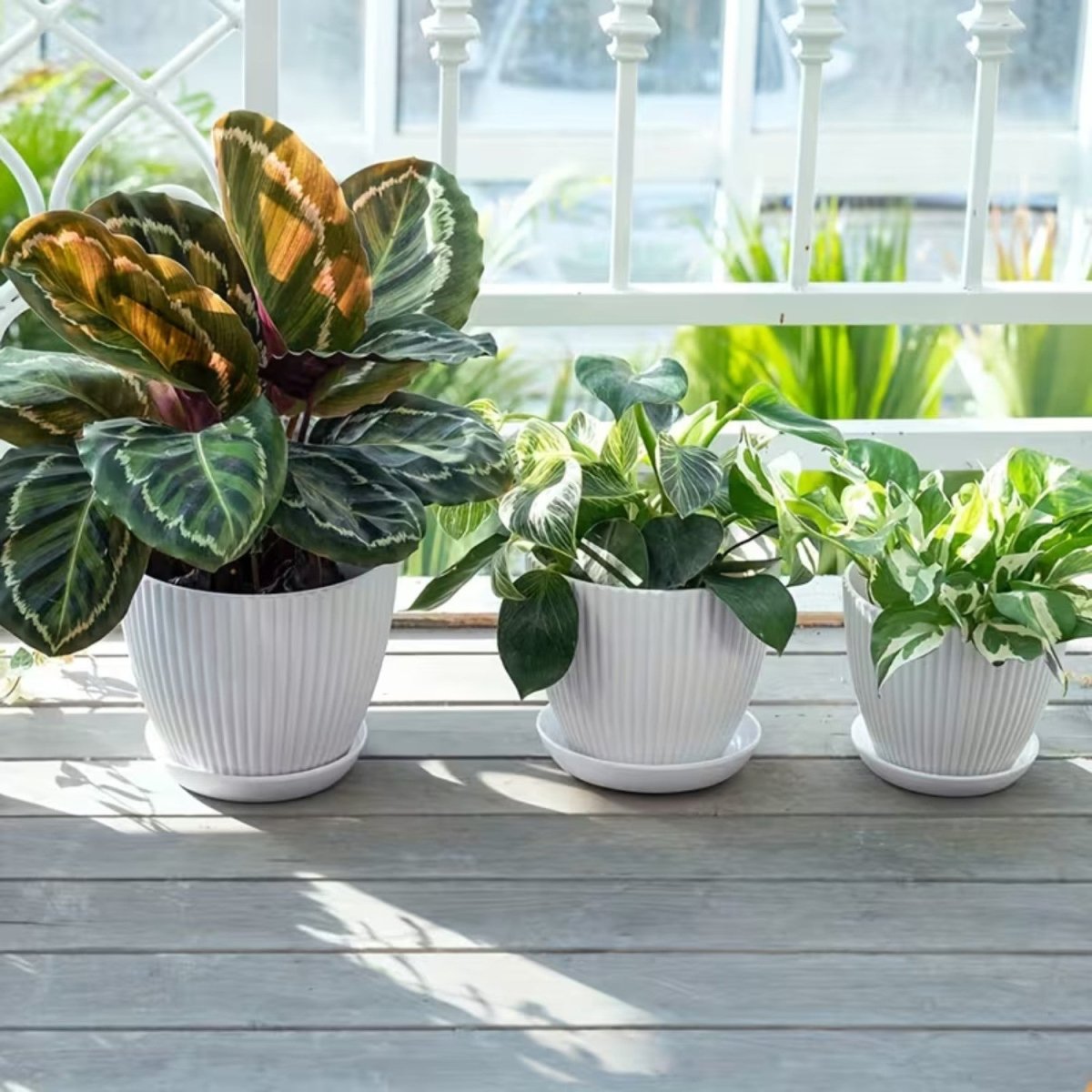 Modern Vertical Striped Flower Pot with Drainage Saucer