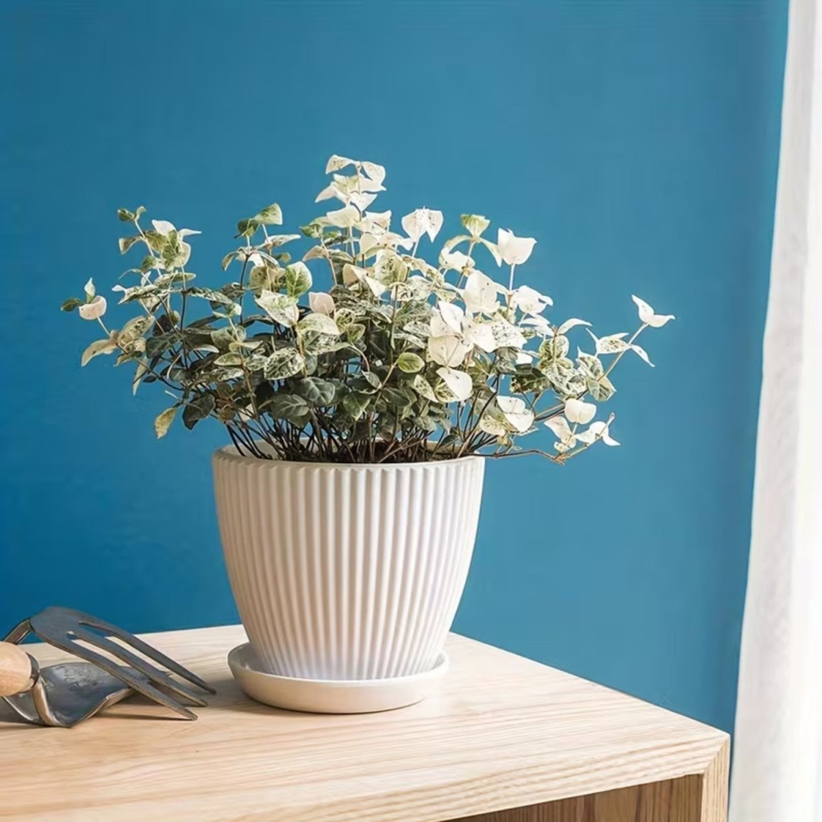Modern Vertical Striped Flower Pot with Drainage Saucer