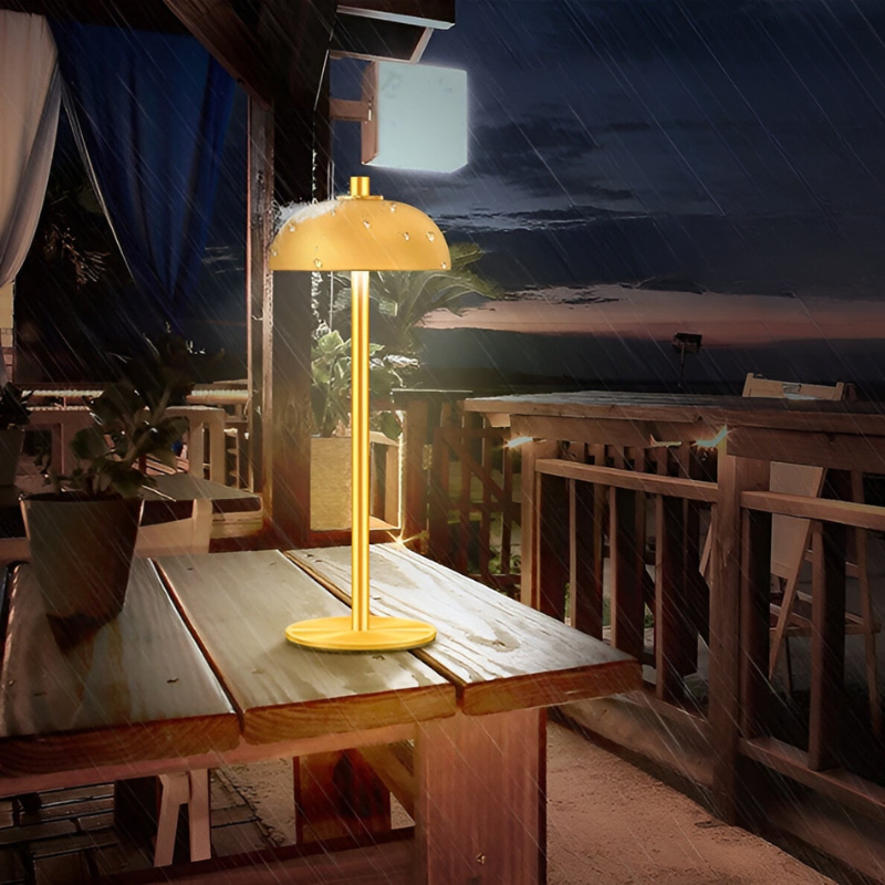 Wireless Touch Control Table Lamp with Adjustable Ambient Lighting