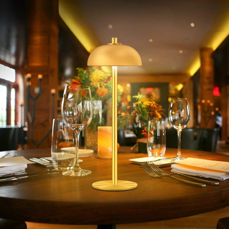 Wireless Touch Control Table Lamp with Adjustable Ambient Lighting
