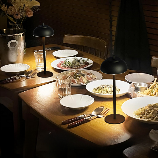 Wireless Touch Control Table Lamp with Adjustable Ambient Lighting