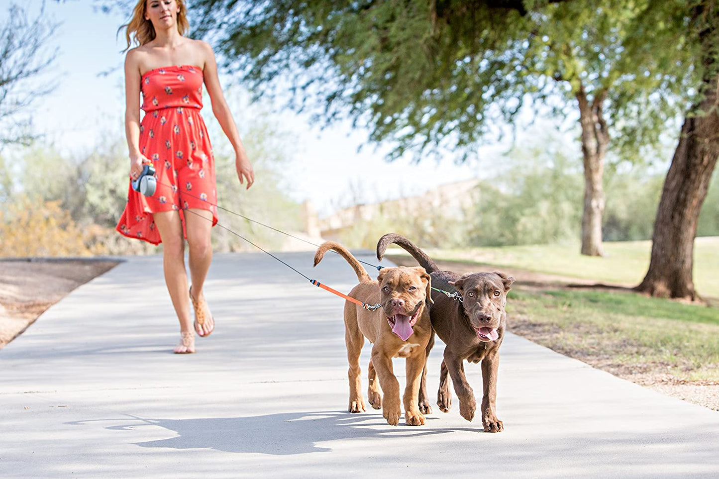 Tangle-Free Double Dog Leash with Reflective Safety