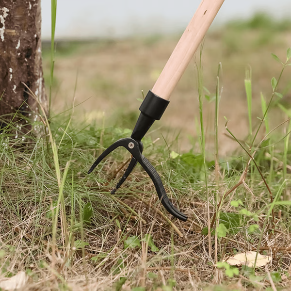Standing Weed Remover with Five-Pronged Steel Head