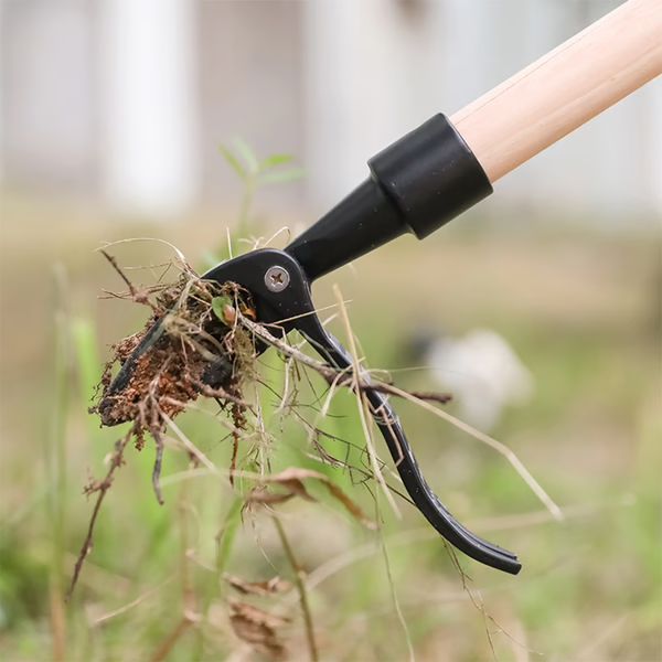 Standing Weed Remover with Five-Pronged Steel Head