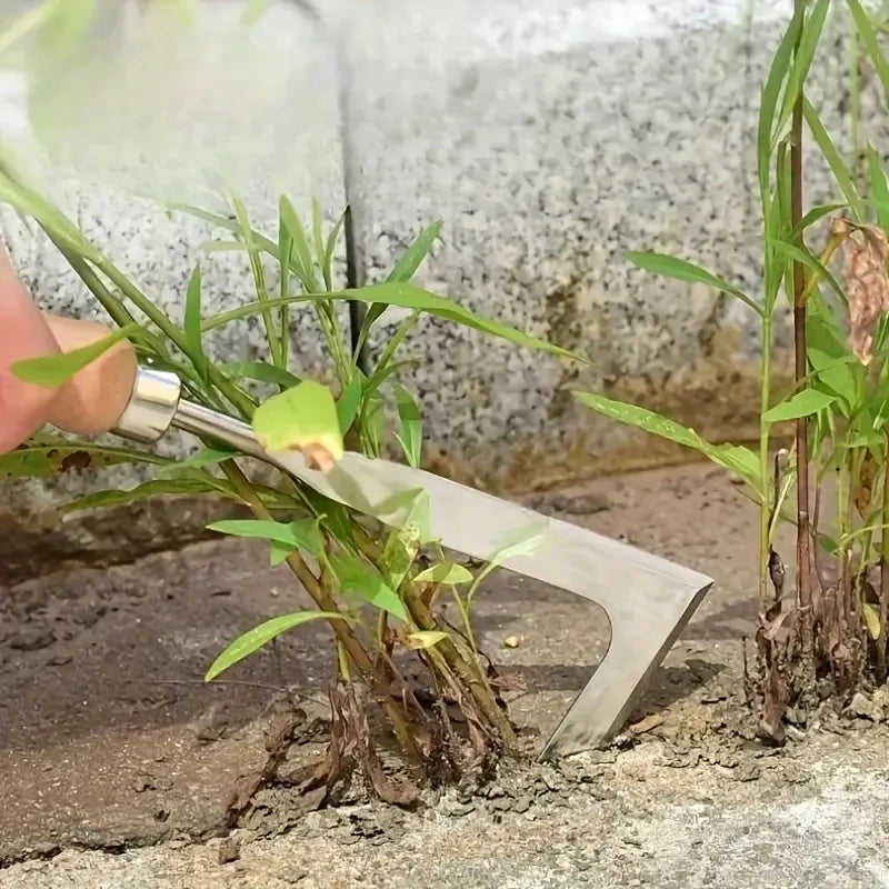 Multifunctional Weed Removal Tool for Narrow Joints