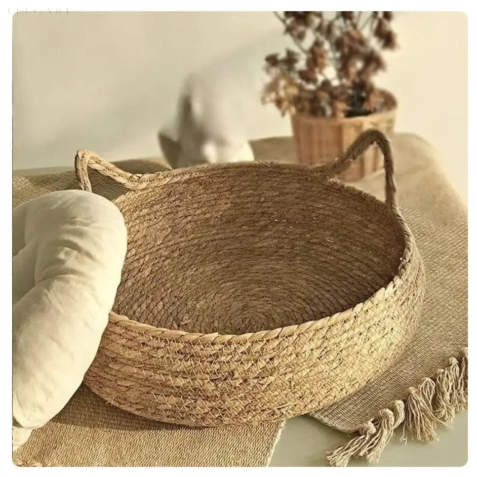 Orthopedic Cat Bed with Removable Cushion for Joint Relief