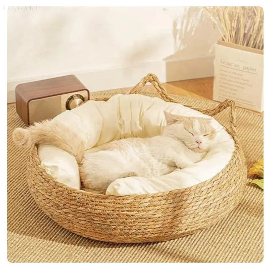 Orthopedic Cat Bed with Removable Cushion for Joint Relief